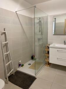 a bathroom with a shower with a glass door at la mer la corse in San-Nicolao +4 photos