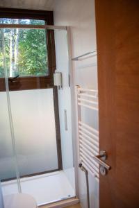 a bathroom with a glass door and a window at OUTSCAPE l Cabañas en Puerto Fuy, Huilo Huilo a Orillas del Lago in Puerto Fuy