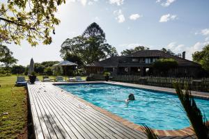 a person swimming in a swimming pool at Cheetah Ridge Lodge in Nambiti Game Reserve