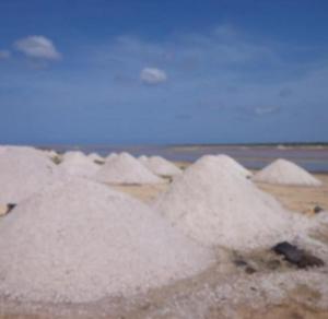 a pile of white sand on the beach at Apto Martins - Residencial Inês N 23 in Vila do Porto +3 photos
