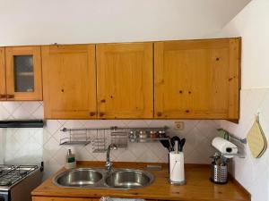 a kitchen with a sink and wooden cabinets at Apto Martins - Residencial Inês N 23 in Vila do Porto