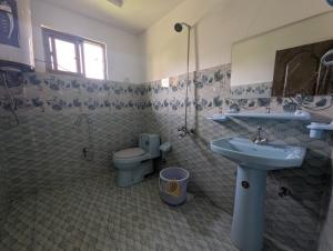 a bathroom with a sink and a toilet at Flora Inn Skardu in Skardu