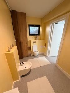 a bathroom with a toilet and a sink at LVO Studio in Bîrlad