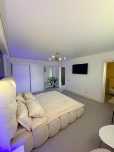 a large bedroom with a large bed and a flat screen tv at LVO Studio in Bîrlad