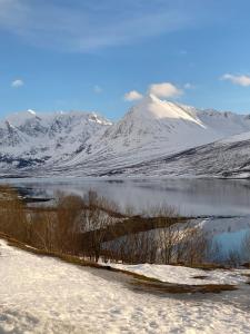 a snow covered mountain next to a body of water at Northern Light Lodge - Lyngen in Veidal +33 photos