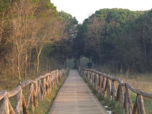 a wooden bridge over a field with trees at Casa Adami Due in Brussa