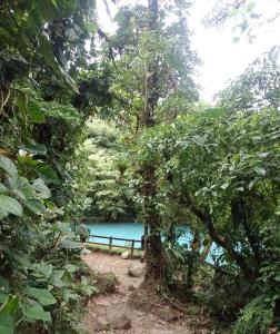a trail through a forest with a blue lake at Chalets río celeste byl in Rio Celeste