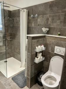 a bathroom with a shower and a toilet at gîte des gorges de Daluis appartement 2 pieces in Daluis +15 photos