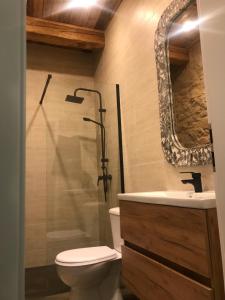 a bathroom with a toilet and a sink and a shower at Apartmány Za Zvončekom in Vydrná +30 photos