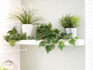 a shelf with potted plants on a wall at Cosy Bee - Freemantle Solent Lodge in Southampton