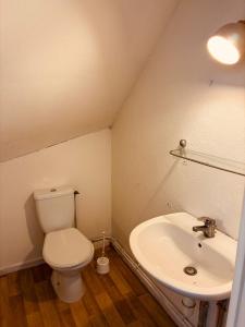 a bathroom with a toilet and a sink at Levroux - maison 4-6 pers - cour privee in Levroux