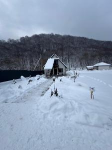 a person standing in the snow in front of a cabin at Вича in Sasivka
