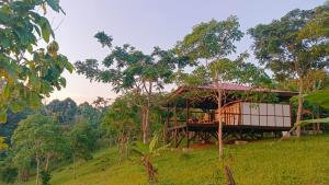 a house on top of a hill with trees at The Ridge Surf Lodge in Biha +93 photos