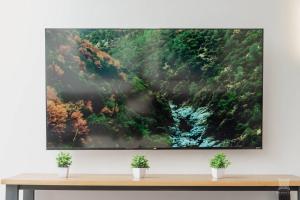 a flat screen tv on a white wall with two plants at AR Suites Casa Master Suite Nueva Luneta in Zamora de Hidalgo