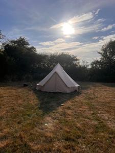 a tent in a field with the sun in the sky at Happy Meadows - Mushroom Street in Long Stratton