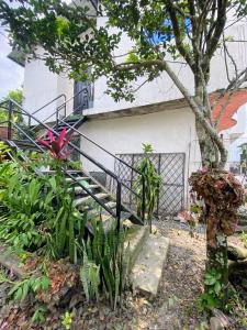 a staircase in front of a house with plants at Alojamiento in Nueva Loja