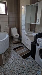 a bathroom with a toilet and a sink and a tub at Cabana Angela in Râșca +7 photos