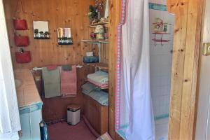 a bathroom with a shower and towels on shelves at Rue des dolmens in Saint-Quay-Portrieux