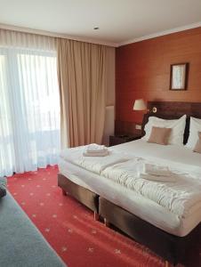 a hotel room with a large bed and a large window at Pension Savisalo in Ramsau am Dachstein