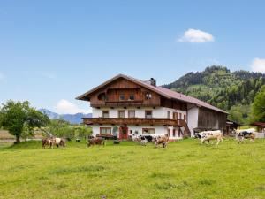 a herd of cows in a field in front of a house at Panorama Suite am Marschbachhof in Walchsee