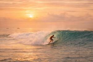 a man riding a wave on a surfboard in the ocean at Fideluna Beach Bungalow in Insyurifuri