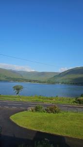 a road next to a large lake with a tree at The Hideaway Guest suite in Fort William +33 photos