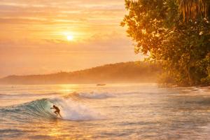 a person riding a wave on a surfboard in the ocean at Fideluna Beach Bungalow in Insyurifuri
