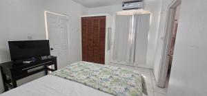 a bedroom with a bed and a television in it at Wavecrest Suites in Grand Anse