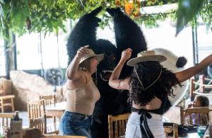 two women standing in front of a bear statue at Mahawi Resort in Calarcá +82 photos