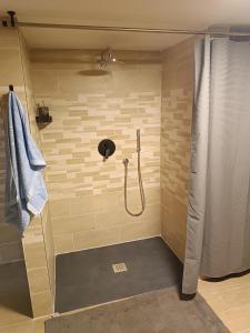 a bathroom with a shower with a shower curtain at Anime Salve B&B E-BIKE HOME RESTAURANT in Sala Baganza +8 photos