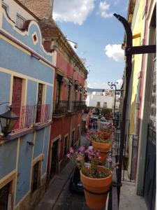 a row of flower pots on the side of buildings at Canteira Boutique Aparthotel in Guanajuato