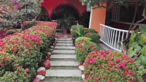 un jardin avec des fleurs roses et un escalier dans l'établissement Balneario Chorillano, à Villavicencio