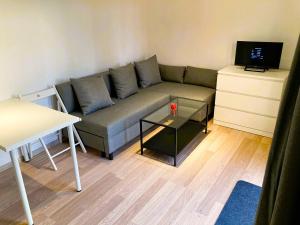 a living room with a couch and a tv at Cisy Resort I -idealny dla gości ze zwierzętami,ogrodzony teren na wyłączność,150 m od jeziora in Makosieje