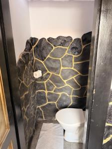 a bathroom with a rock wall next to a toilet at Apartmán Mair Pardubice in Pardubice