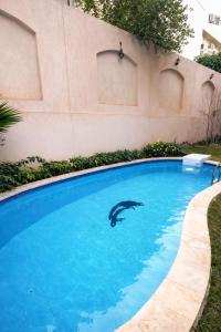a dolphin swimming in a swimming pool at Luxury Villa Z7 - 6th of October in 6th Of October