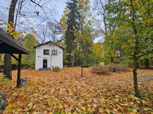a small white house in the middle of a pile of leaves at Ojcówek in Grzymek