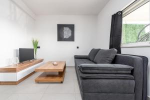 a living room with a couch and a table at Apartmani Opg Dragoslavić in Stari Vas