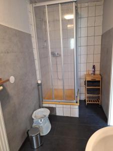 a bathroom with a shower and a trash can at Gutliegende Wohnung in Maybach