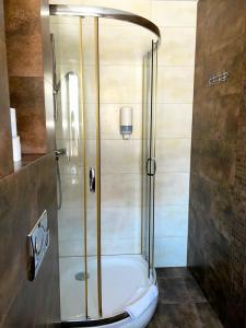 a shower with a toilet in a bathroom at Akme APARTMENTS & ROOMS & FREE PARKING in Gdańsk