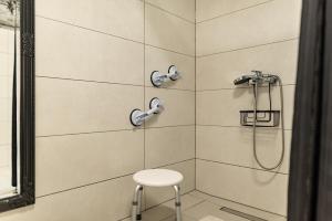 a shower with a stool in a bathroom at Apartmani Opg Dragoslavić in Stari Vas +69 photos