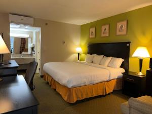 a hotel room with a large bed and a desk at Quality Inn & Suites Moline Airport in Moline