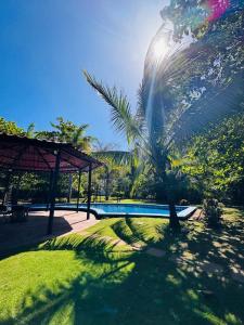a palm tree sitting next to a swimming pool at Stillness Suite - Tamarindo - Pinilla - Avellanas - Pool - BBQ in San José Pinilla