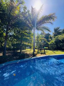a swimming pool with a palm tree in a park at Stillness Suite - Tamarindo - Pinilla - Avellanas - Pool - BBQ in San José Pinilla
