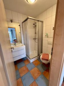 a bathroom with a shower and a toilet and a sink at Modernes Studio mit Balkon & Seeblick am Biggesee in Olpe +5 photos