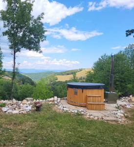 a wooden outhouse on top of a hill at Casa Verde in Cerişor