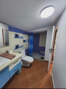 a bathroom with a toilet and a sink and a shower at Apartment 4 by Villa Ceni in Elbasan
