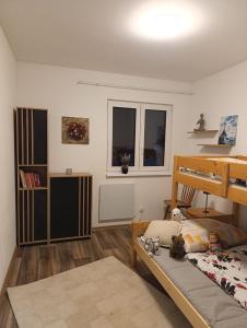 a bedroom with a bunk bed and a book shelf at DOMA Les in Včelná