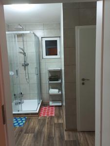 a bathroom with a shower and a glass door at DOMA Les in Včelná