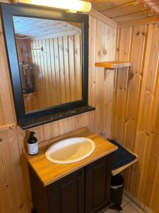 a bathroom with a sink and a mirror at Cosy mountain cabin 875m near Turufjell, ski, fishing, hiking and quiet nature in Flå