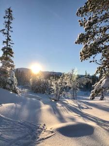 a snow covered path with the sun in the background at Cosy mountain cabin 875m near Turufjell, ski, fishing, hiking and quiet nature in Flå